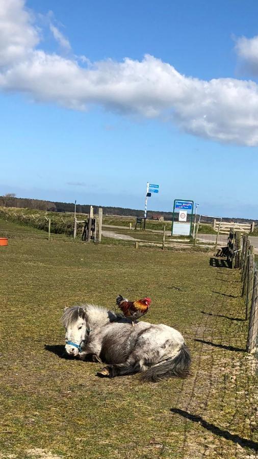 Duinhotel Texel De Koog  Eksteriør bilde